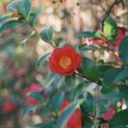 ヒメ日記 2025/01/17 16:45 投稿 きょうこ 待ちナビ