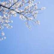 ヒメ日記 2025/04/02 17:25 投稿 きょうこ 待ちナビ