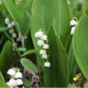 ヒメ日記 2025/04/16 14:25 投稿 きょうこ 待ちナビ