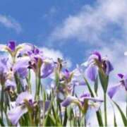 ヒメ日記 2025/05/08 12:55 投稿 きょうこ 待ちナビ