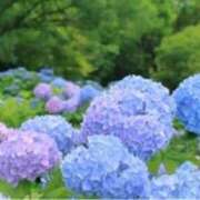 ヒメ日記 2025/06/18 14:05 投稿 きょうこ 待ちナビ