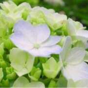 ヒメ日記 2025/07/03 21:31 投稿 きょうこ 待ちナビ