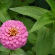 ヒメ日記 2025/07/08 17:55 投稿 きょうこ 待ちナビ