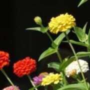 ヒメ日記 2025/08/06 13:10 投稿 きょうこ 待ちナビ