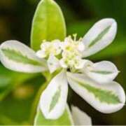 ヒメ日記 2025/09/03 12:20 投稿 きょうこ 待ちナビ