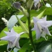 ヒメ日記 2025/09/18 18:48 投稿 きょうこ 待ちナビ