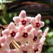 ヒメ日記 2025/09/24 16:45 投稿 きょうこ 待ちナビ