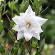 ヒメ日記 2025/09/26 14:39 投稿 きょうこ 待ちナビ