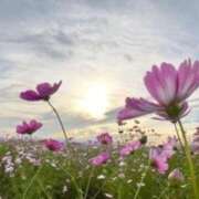 ヒメ日記 2025/10/14 12:33 投稿 きょうこ 待ちナビ