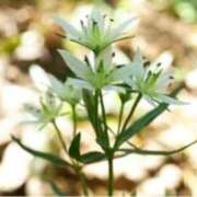 ヒメ日記 2025/10/22 12:55 投稿 きょうこ 待ちナビ