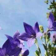 ヒメ日記 2025/10/29 13:15 投稿 きょうこ 待ちナビ