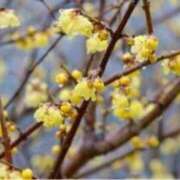 ヒメ日記 2025/12/12 19:10 投稿 きょうこ 待ちナビ