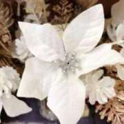 きょうこ ありがとうございます 待ちナビ