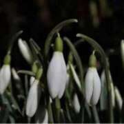 ヒメ日記 2026/02/13 19:39 投稿 きょうこ 待ちナビ