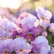 ヒメ日記 2026/02/17 13:15 投稿 きょうこ 待ちナビ