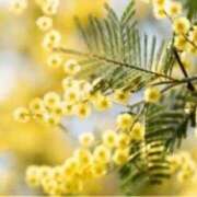 ヒメ日記 2026/03/04 16:55 投稿 きょうこ 待ちナビ