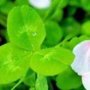 ヒメ日記 2026/04/09 16:45 投稿 きょうこ 待ちナビ