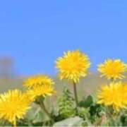 ヒメ日記 2026/04/22 16:35 投稿 きょうこ 待ちナビ
