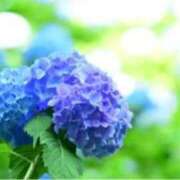 ヒメ日記 2026/05/07 13:15 投稿 きょうこ 待ちナビ