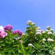 ヒメ日記 2026/06/30 14:45 投稿 きょうこ 待ちナビ