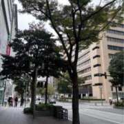 きょうこ 連休 待ちナビ