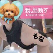 ヒメ日記 2025/07/04 09:58 投稿 もな エレガンス(広島)