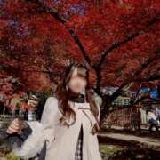 ヒメ日記 2025/11/16 23:22 投稿 美羽/みう　centu STYLISH BACH