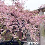 ヒメ日記 2025/03/13 14:15 投稿 まお 尻舐め女