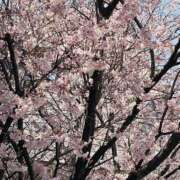 ヒメ日記 2025/03/23 19:45 投稿 まお 尻舐め女