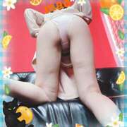 ヒメ日記 2025/06/05 23:17 投稿 まお 尻舐め女