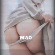 ヒメ日記 2025/08/14 14:39 投稿 まお 尻舐め女