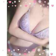 ヒメ日記 2025/11/24 04:02 投稿 とあ【元メイドカフェ】 STELLA TOKYO－ステラトウキョウ－