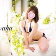 ヒメ日記 2026/09/16 12:03 投稿 彩羽-ayaha- 京都デリヘル倶楽部