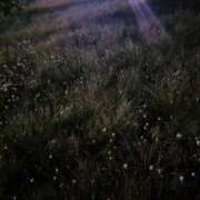 ヒメ日記 2025/02/14 21:05 投稿 ゆな CLASSY.名古屋・新栄店