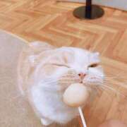 ヒメ日記 2025/02/22 11:59 投稿 ゆな CLASSY.名古屋・新栄店