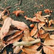 ヒメ日記 2025/10/01 17:20 投稿 ゆな CLASSY.名古屋・新栄店