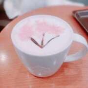 ヒメ日記 2026/02/22 17:20 投稿 ゆな CLASSY.名古屋・新栄店