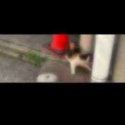 ヒメ日記 2026/02/22 19:20 投稿 ゆな CLASSY.名古屋・新栄店