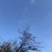 ヒメ日記 2026/03/12 14:13 投稿 ゆな CLASSY.名古屋・新栄店