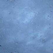 ヒメ日記 2026/03/25 20:40 投稿 ゆな CLASSY.名古屋・新栄店