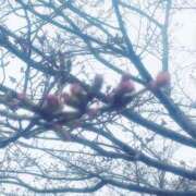 ヒメ日記 2026/03/26 12:31 投稿 ゆな CLASSY.名古屋・新栄店