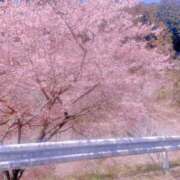 ヒメ日記 2026/03/28 13:40 投稿 ゆな CLASSY.名古屋・新栄店