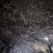 ヒメ日記 2026/03/28 23:50 投稿 ゆな CLASSY.名古屋・新栄店