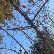 ヒメ日記 2026/04/02 09:20 投稿 ゆな CLASSY.名古屋・新栄店