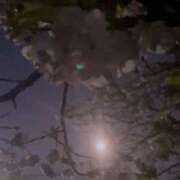 ヒメ日記 2026/04/02 22:10 投稿 ゆな CLASSY.名古屋・新栄店