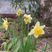 ヒメ日記 2026/04/04 14:41 投稿 ゆな CLASSY.名古屋・新栄店