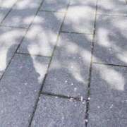 ヒメ日記 2026/04/12 14:00 投稿 ゆな CLASSY.名古屋・新栄店