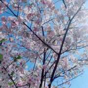 ヒメ日記 2026/04/18 13:26 投稿 ゆな CLASSY.名古屋・新栄店