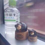 ヒメ日記 2026/04/21 12:23 投稿 ゆな CLASSY.名古屋・新栄店