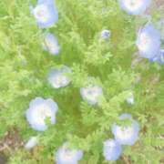 ヒメ日記 2026/04/26 16:27 投稿 ゆな CLASSY.名古屋・新栄店